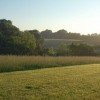 Lucid ~ Flying above beautiful marsh and grasslands grassy fields