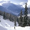Mountain top, snow, trees, beer, and lucidity skiing-swiss-alps-winter-6716